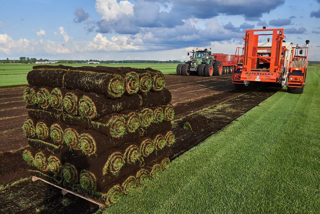 Fresh cut Kentucky Blue grass