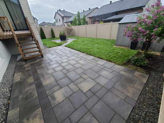 Fresh cut Kentucky Blue grass