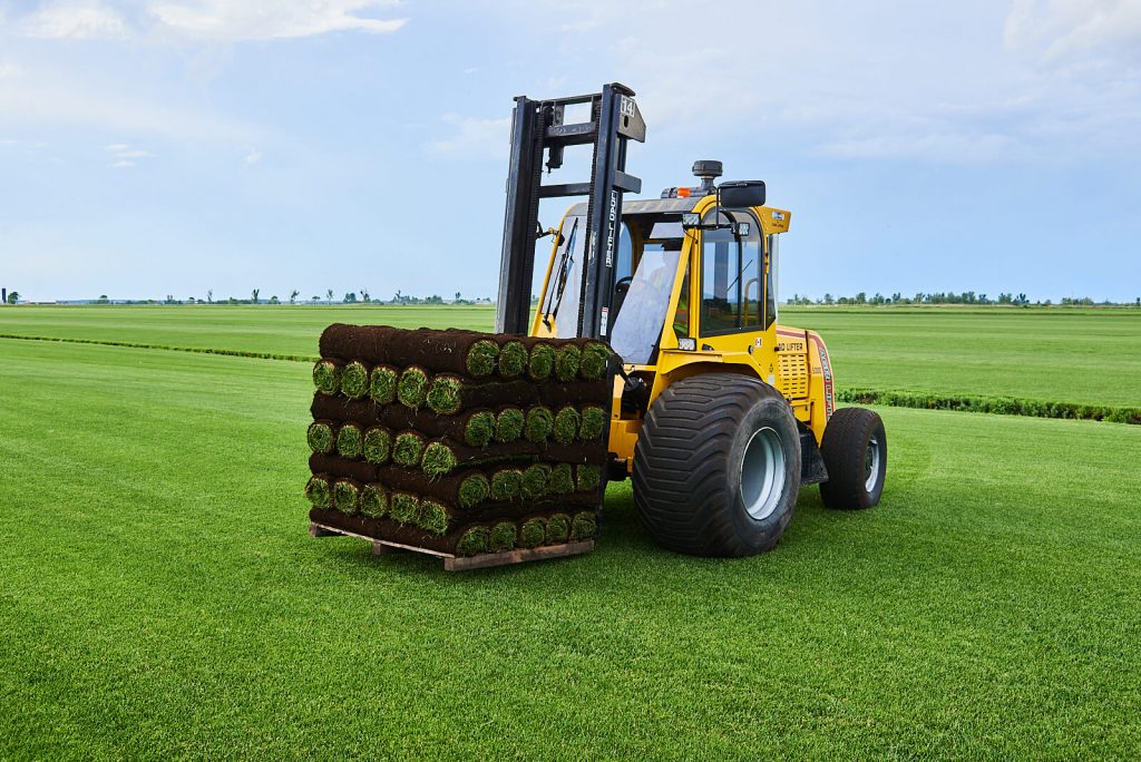 Fresh cut Kentucky Blue grass