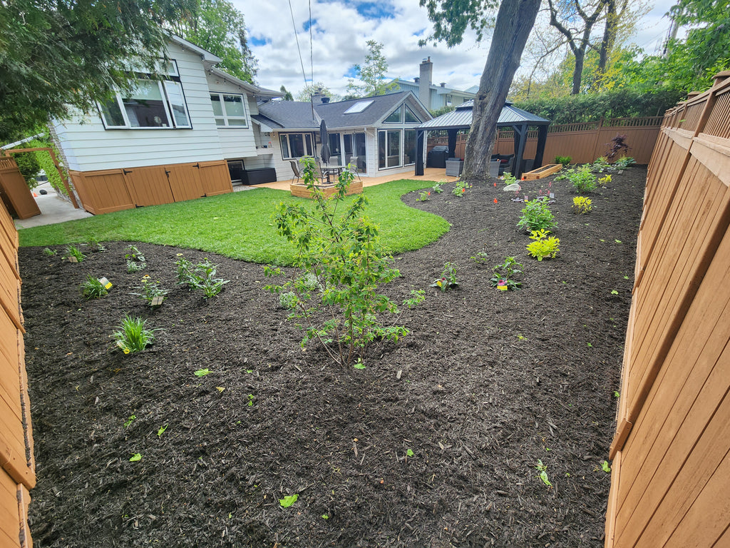 Fresh cut Kentucky Blue grass