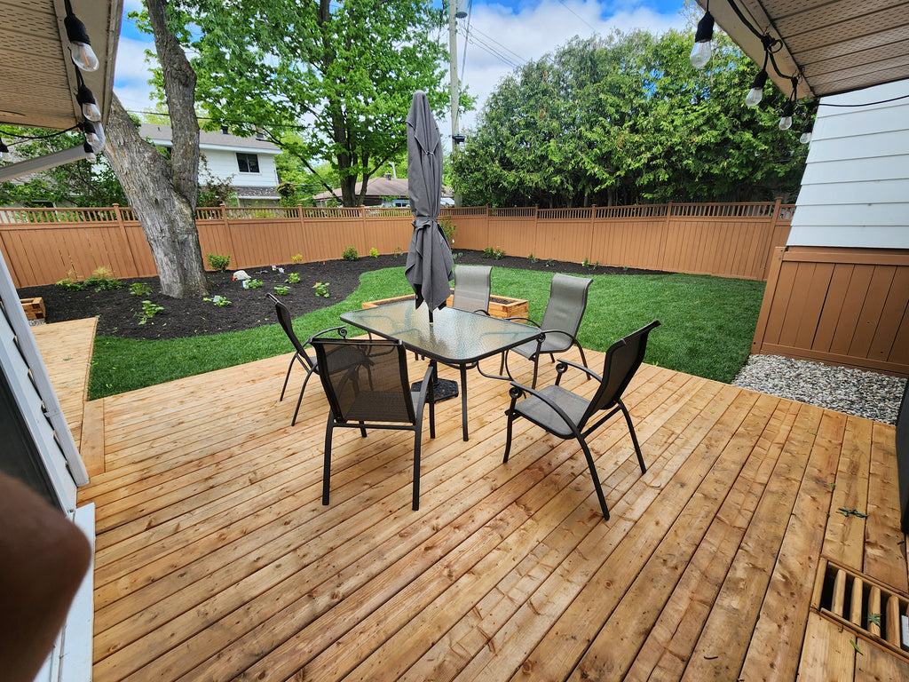 Fresh cut Kentucky Blue grass